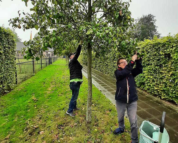 FRUIT-PLUKKEN